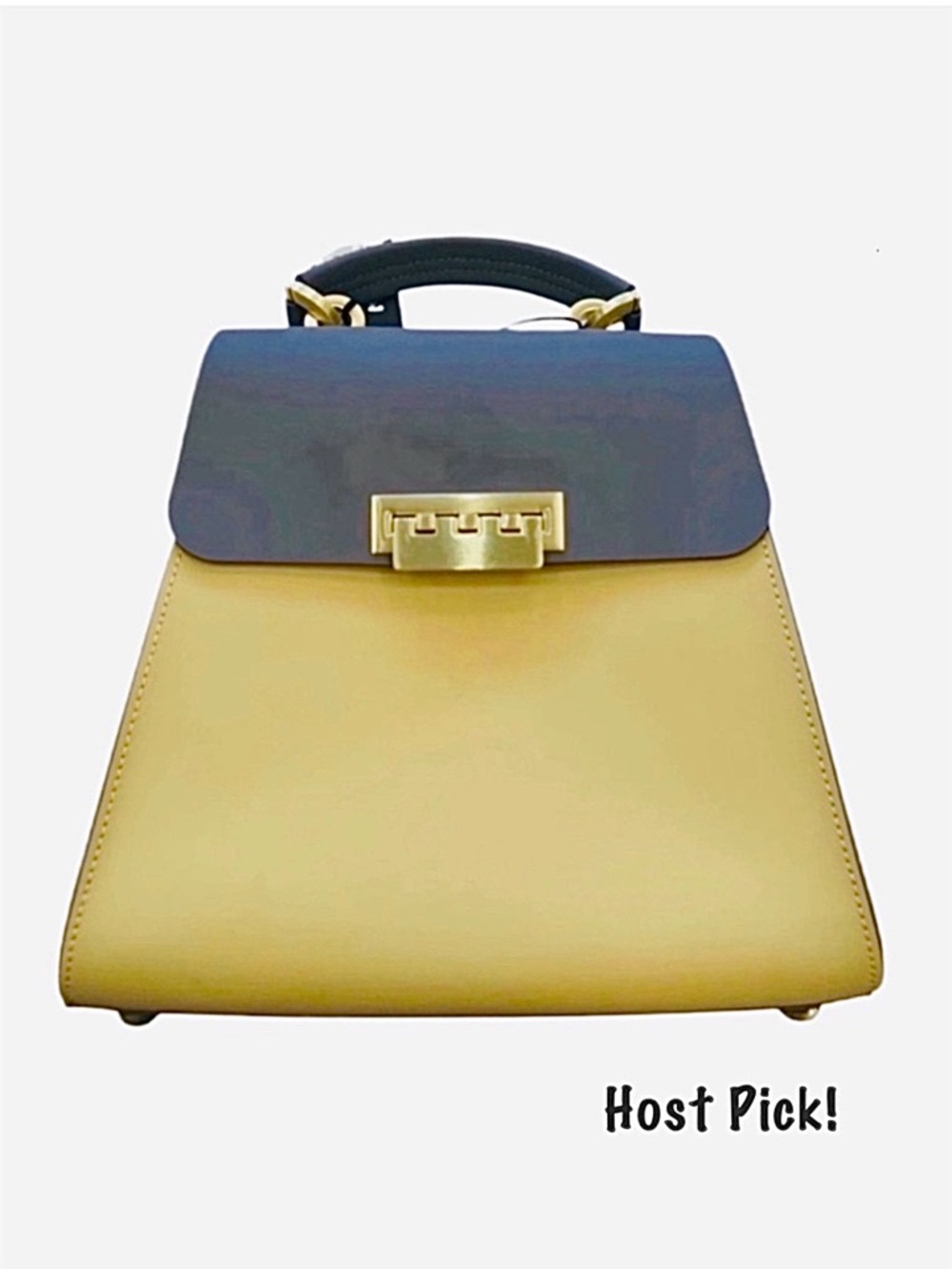 ZAC POSEN ~ Elegant/Functional Two-Tone Mini Handbag/Crossbody/Backpack